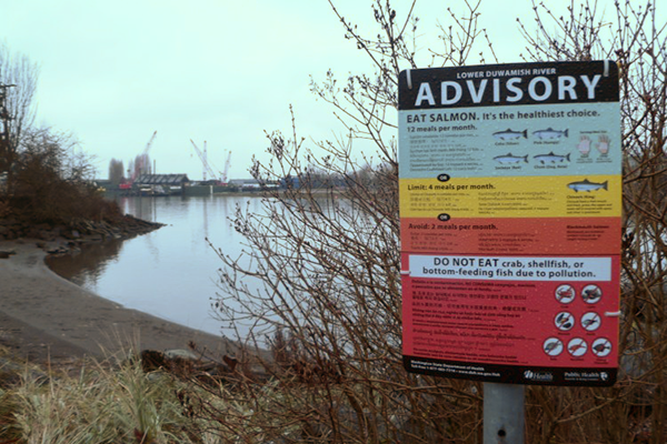 The lower Duwamish fishing advisory