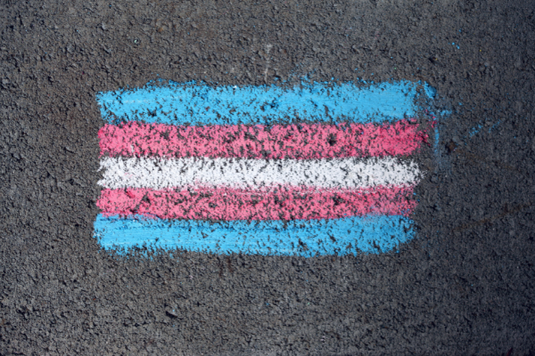 Picture of the trans rights flag drawn in chalk on concrete