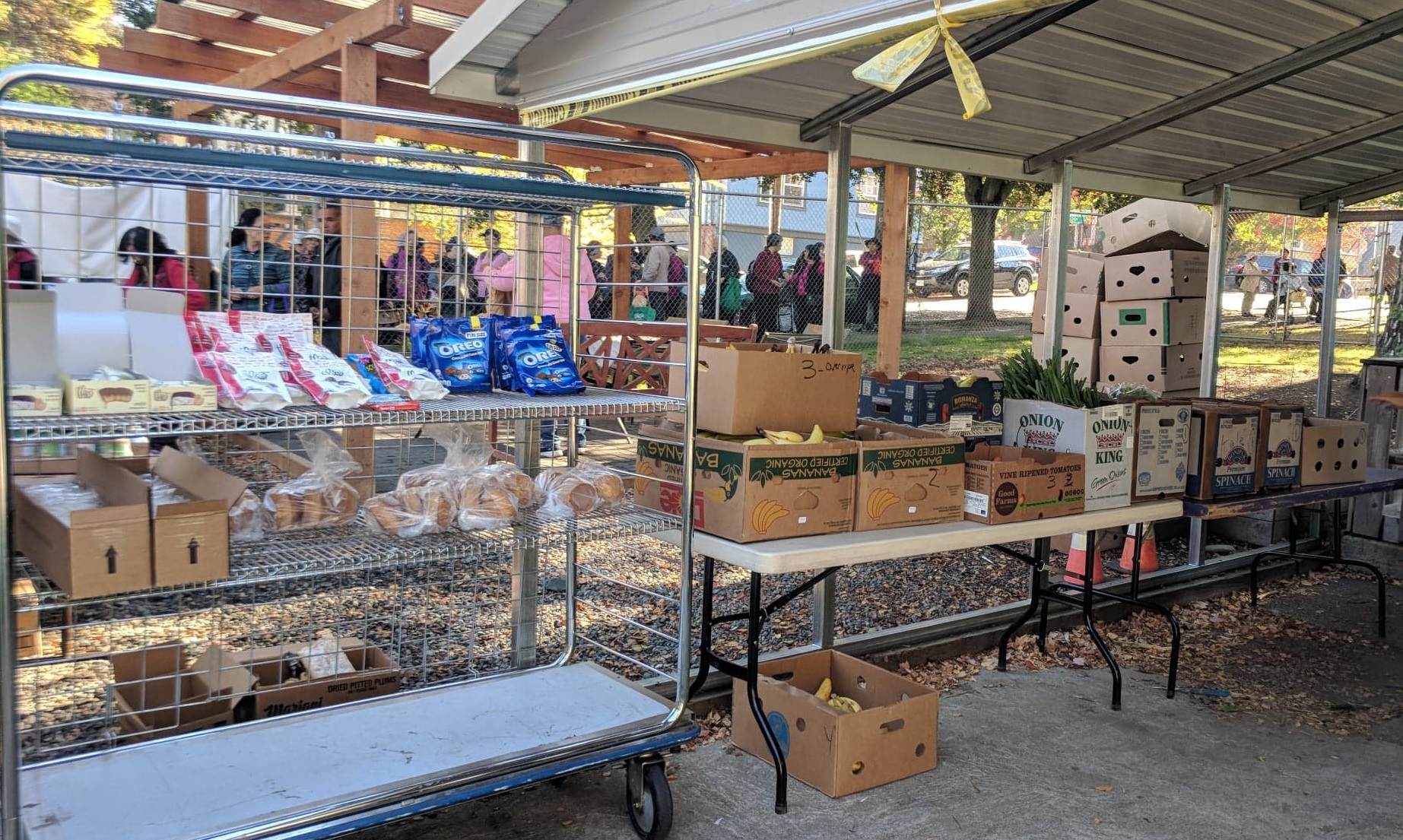 YWCA's Central Area Food Bank