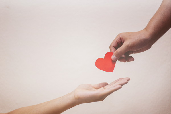 YWCA Winter Giving Programs