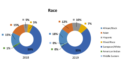 Graph of Volunteer Services 2019 statistics