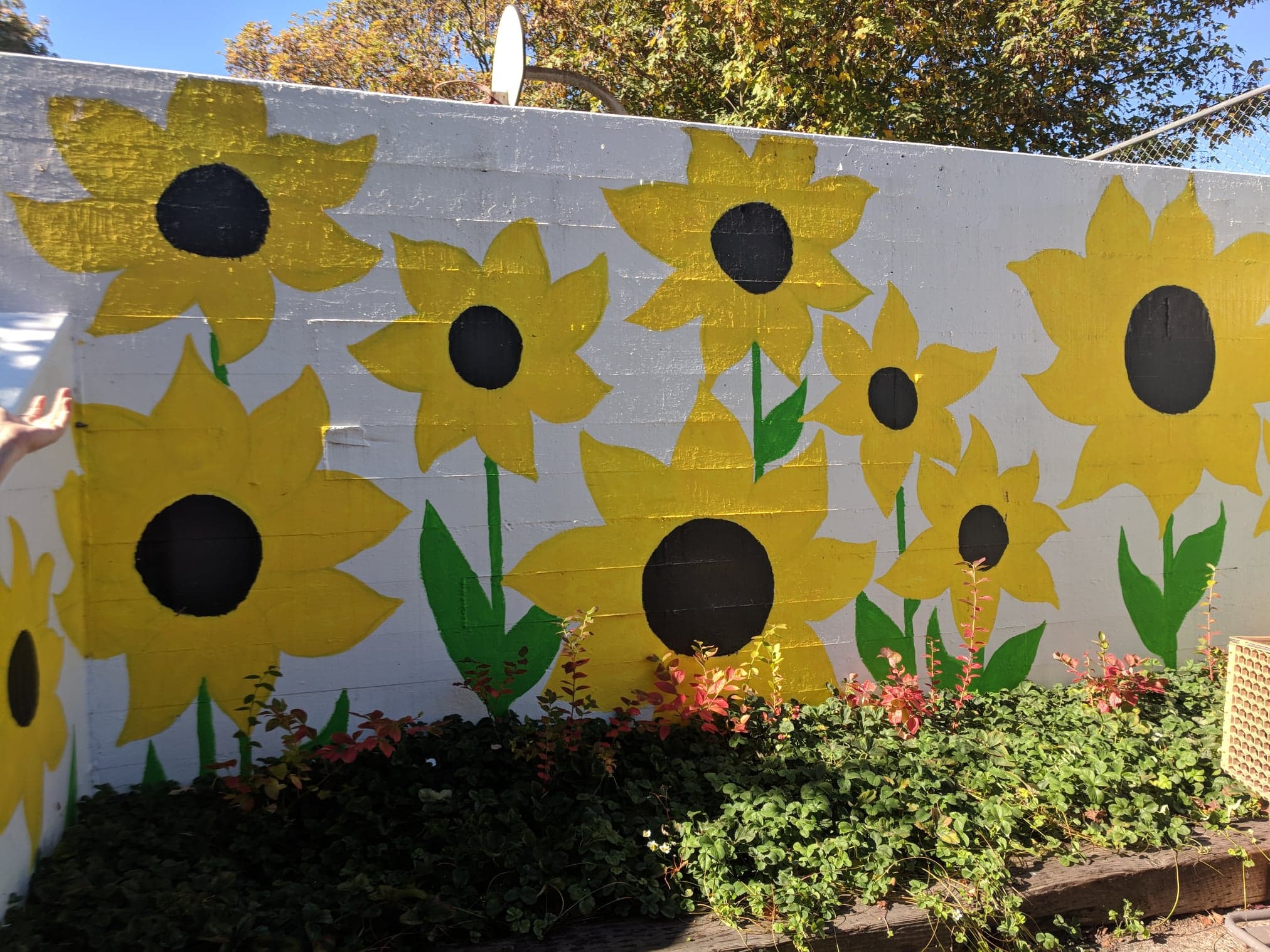 Food bank garden