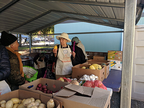 Volunteer coordinating food donations