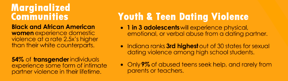 An infographic detailing the statistics of domestic violence amongst marginalized communities and Youth & Teen dating violence