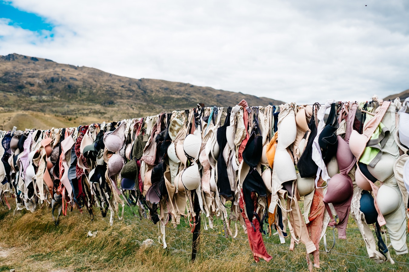 Bra Fence