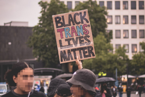 Picture of protest sign that says "Black Trans Lives Matter"