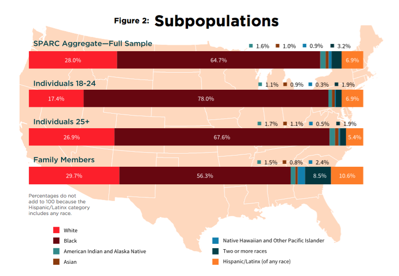 A graph showing the vast majority of homeless youth are people of color