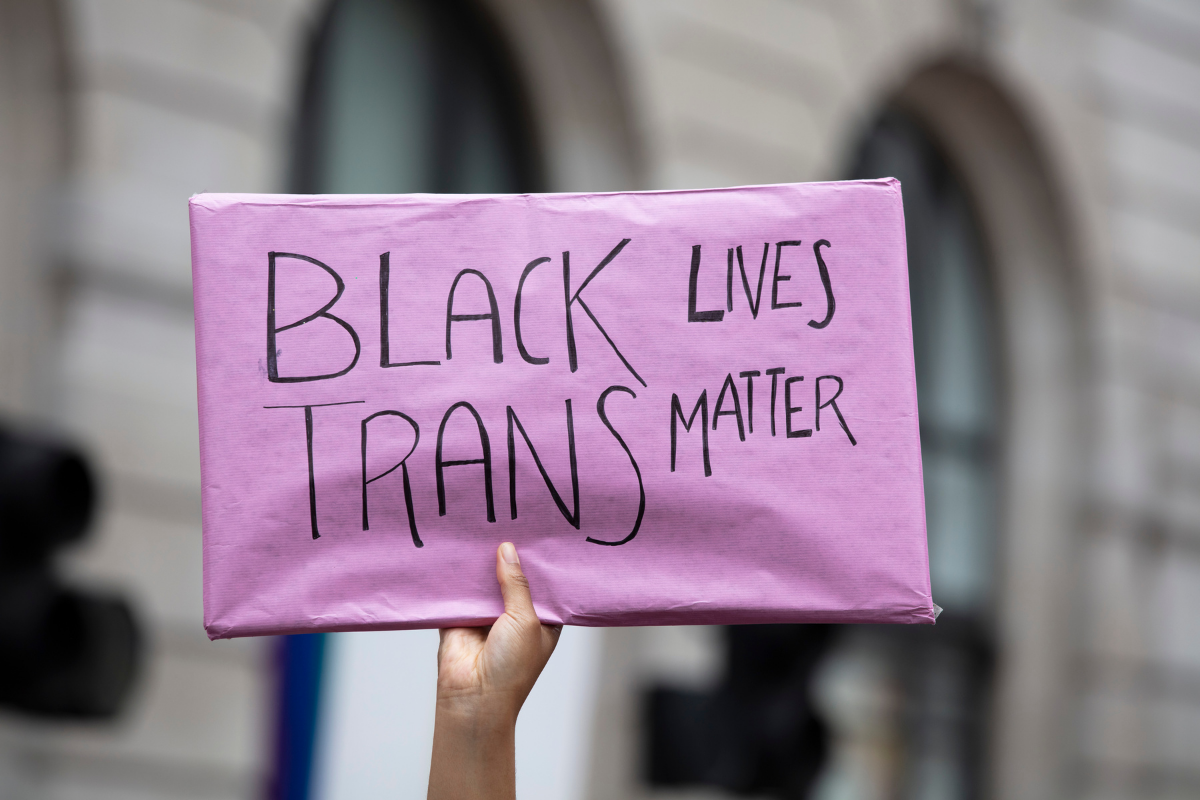 Picture of protest sign that says "Black Trans Lives Matter"