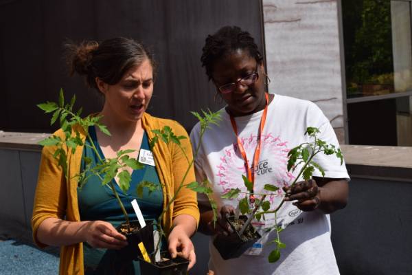 Women building the healthy rooftop garden for the Women's Health Outreach Project