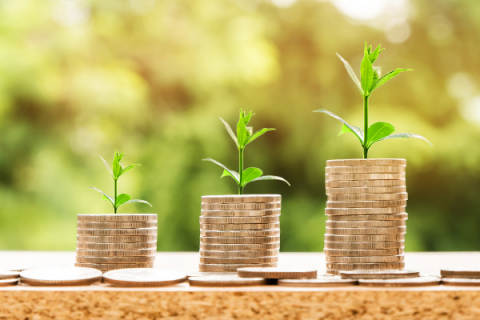 Picture of three stacks of coins sprouting plants